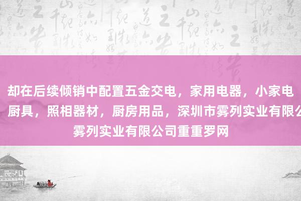 却在后续倾销中配置五金交电，家用电器，小家电，家装建材，厨具，照相器材，厨房用品，深圳市雾列实业有限公司重重罗网